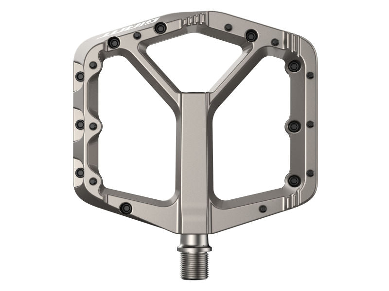 Pedales de plataforma de MTB Giant Pinner Pro (Gris plata)