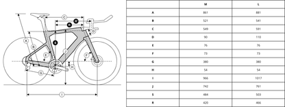 Cuadro de Ruta Pista Ridley Arena Fast (negro)